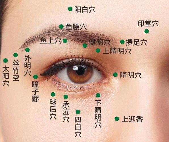 针灸穴位图 眼睛