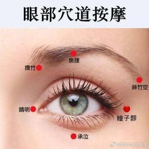 针灸穴位图 眼睛