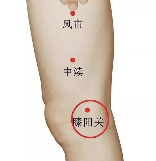 膝盖疼 穴位治疗