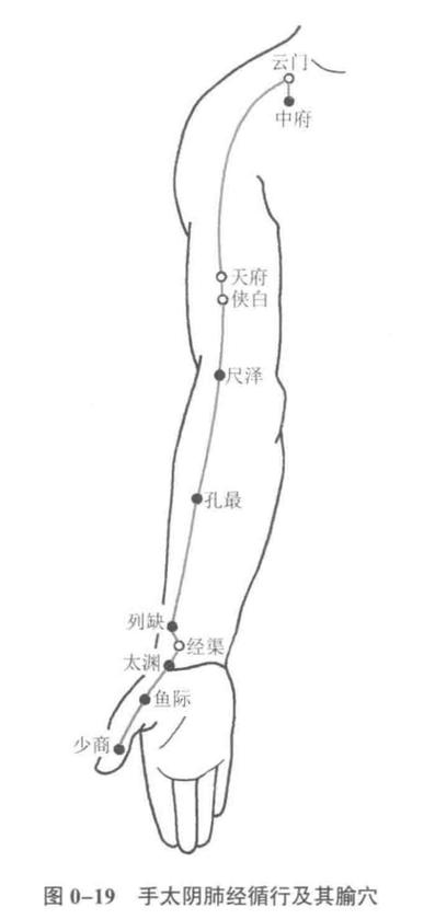 手太阴 穴位 颈椎