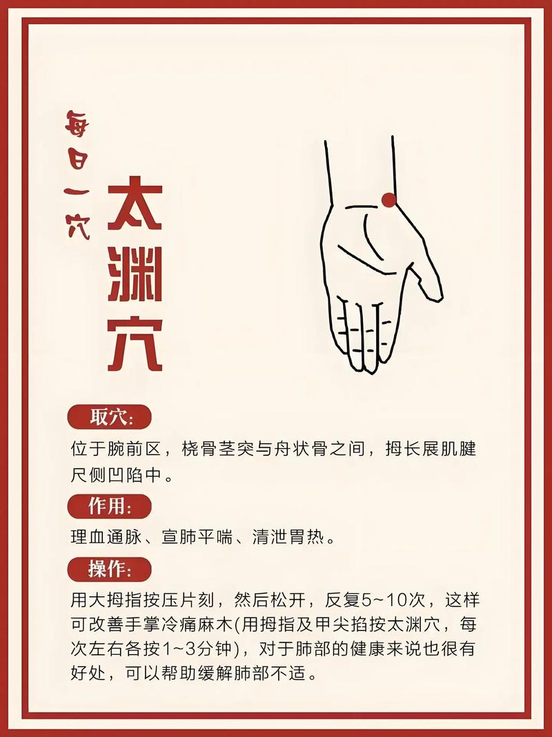 手太阴 穴位 颈椎