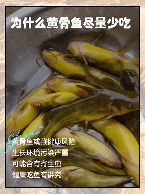 脑梗患者能吃黄鱼吗